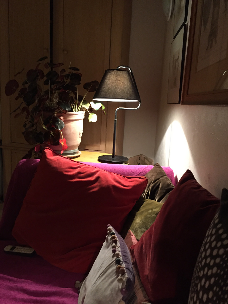 photo cabinet Ginette Guy-Serraire