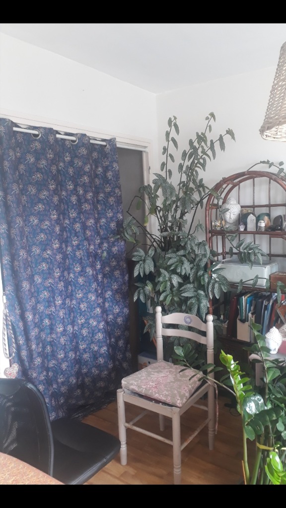 photo activite Vanessa Michau - Énergie éthique - Accompagnement