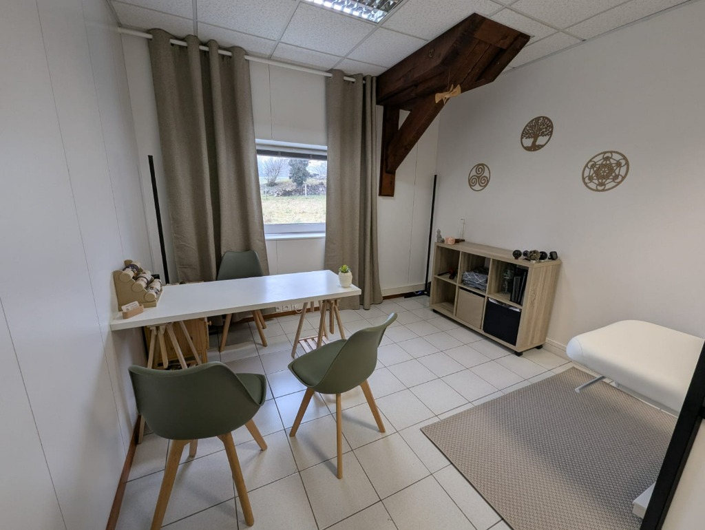 photo activite Damien Rosenstiehl Doré Magnétiseur