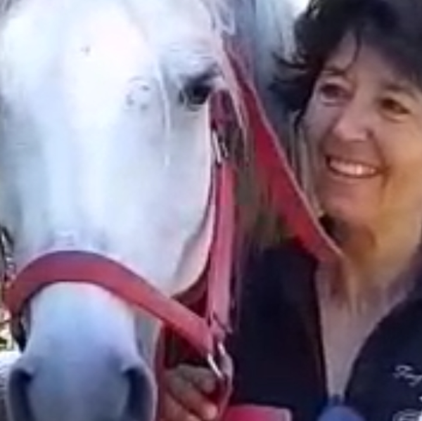 Association  Le lien ou l Équitherapie