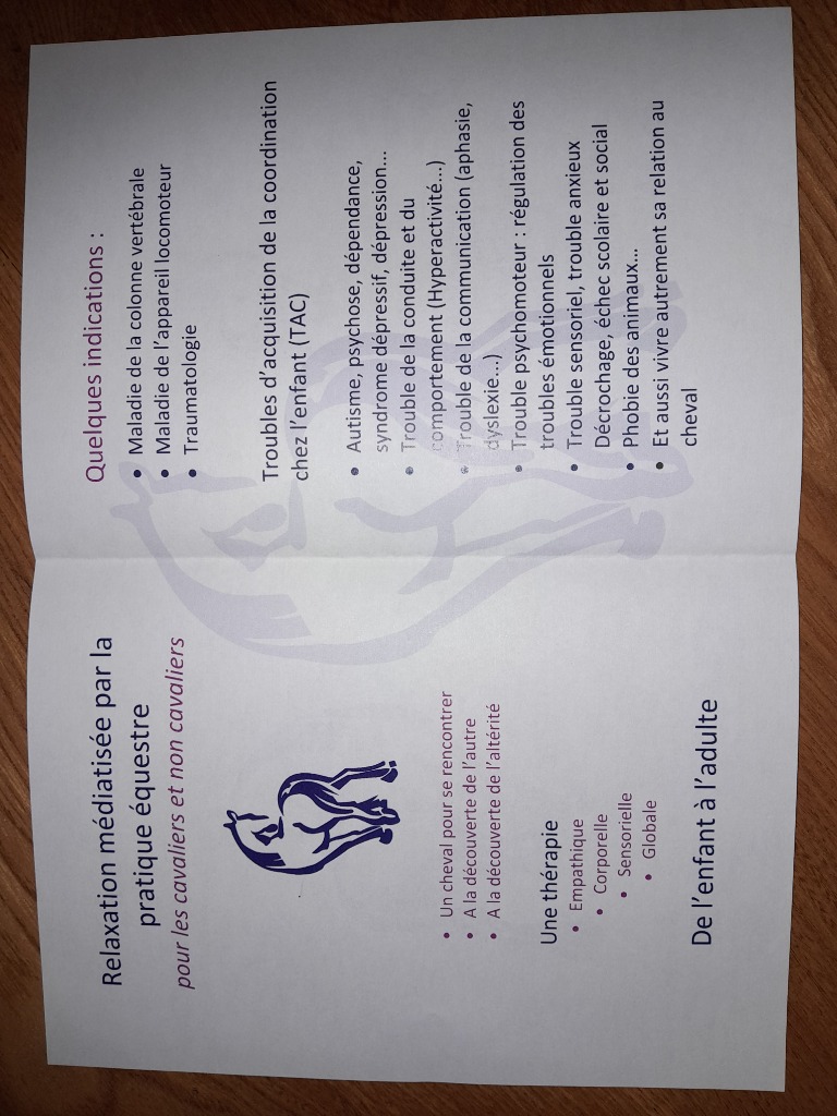 photo activite Association  Le lien ou l Équitherapie