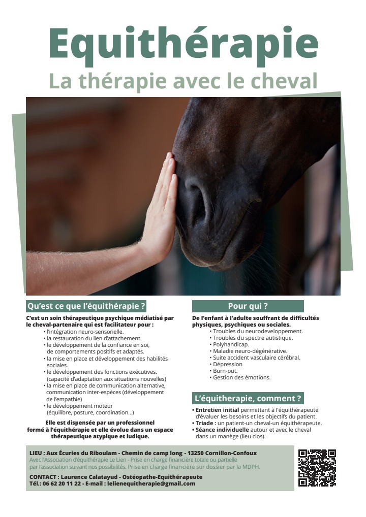 photo seance Association  Le lien ou l Équitherapie