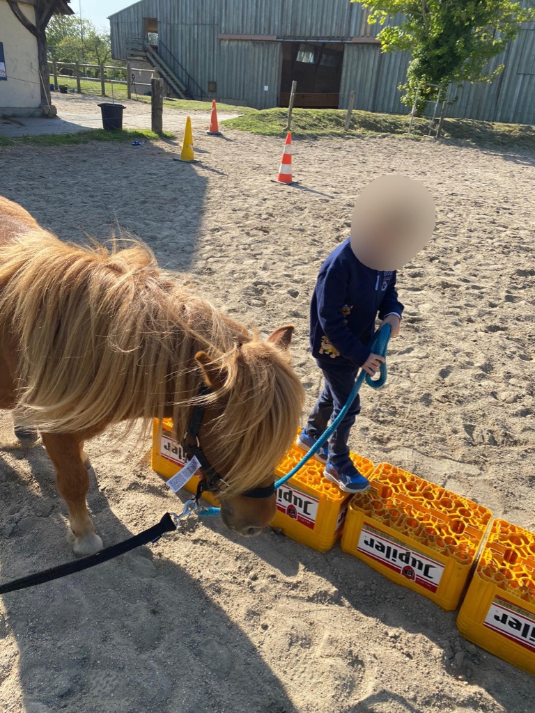 photo activite Claire Psychomot & Zoo