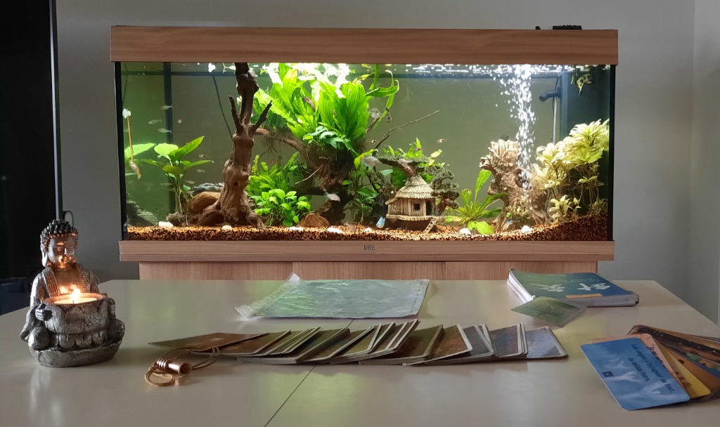 photo cabinet Stanislas lafon Maître Guérisiologue 