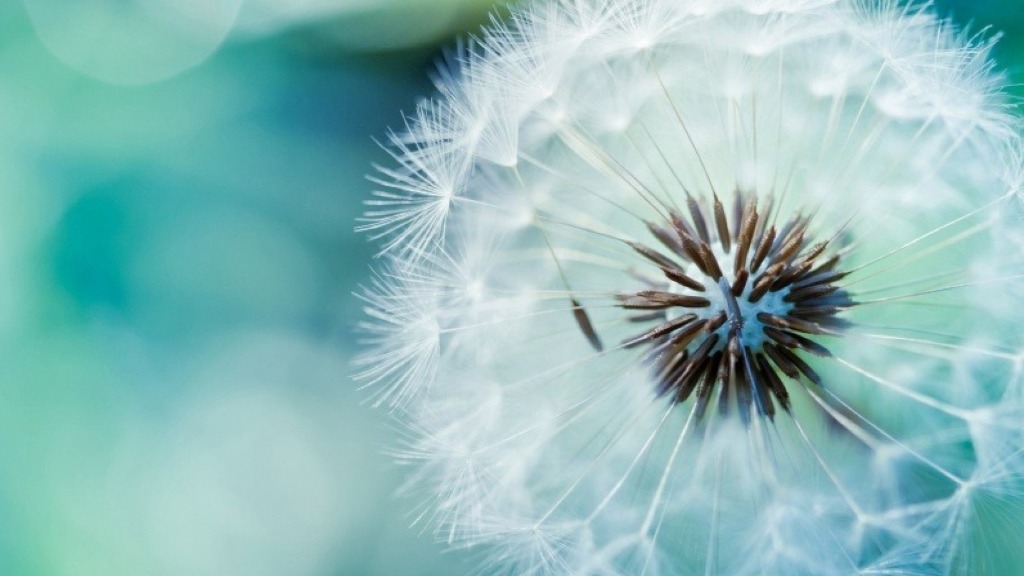 photo portrait Muriel BREMIER