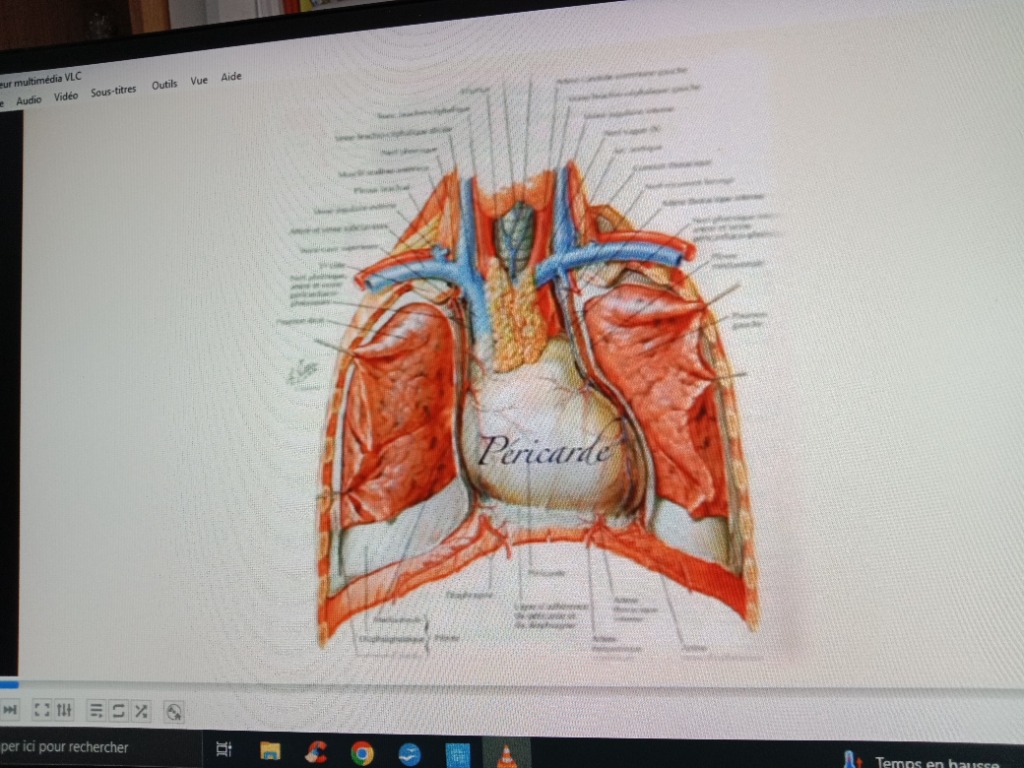 photo seance Lung sigrid