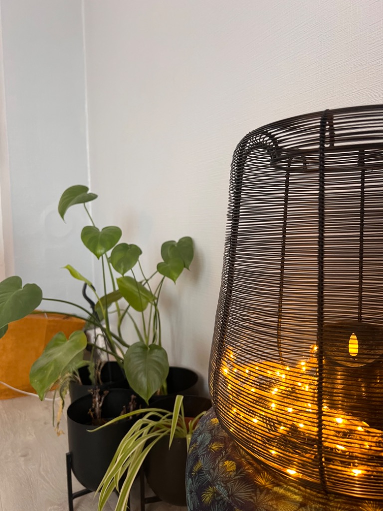 photo diplome Ingrid OUARDJANI 