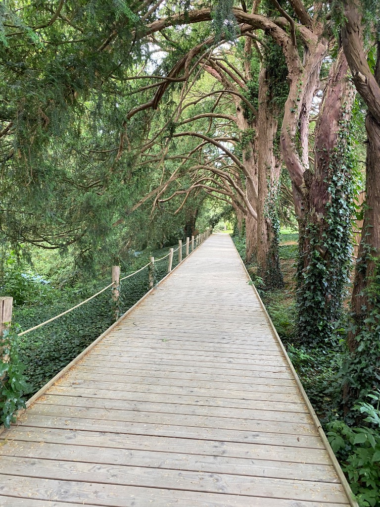 photo activite Audrey MARTIN