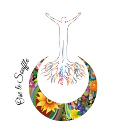 photo cabinet Sofia Boitel