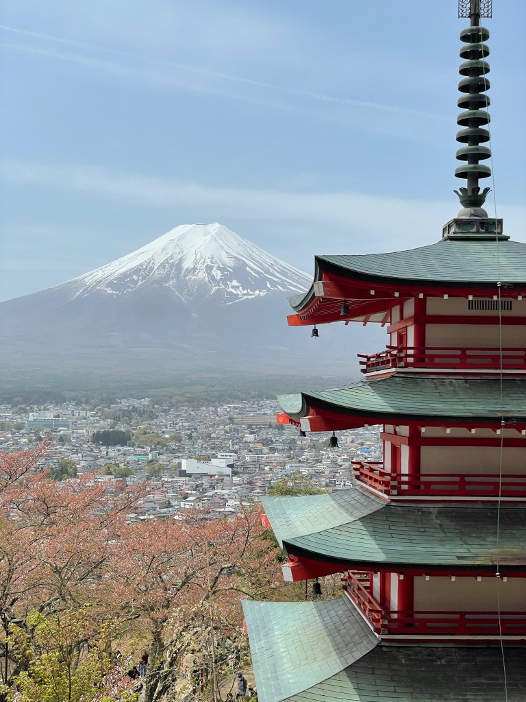 photo activite Sidonie covre