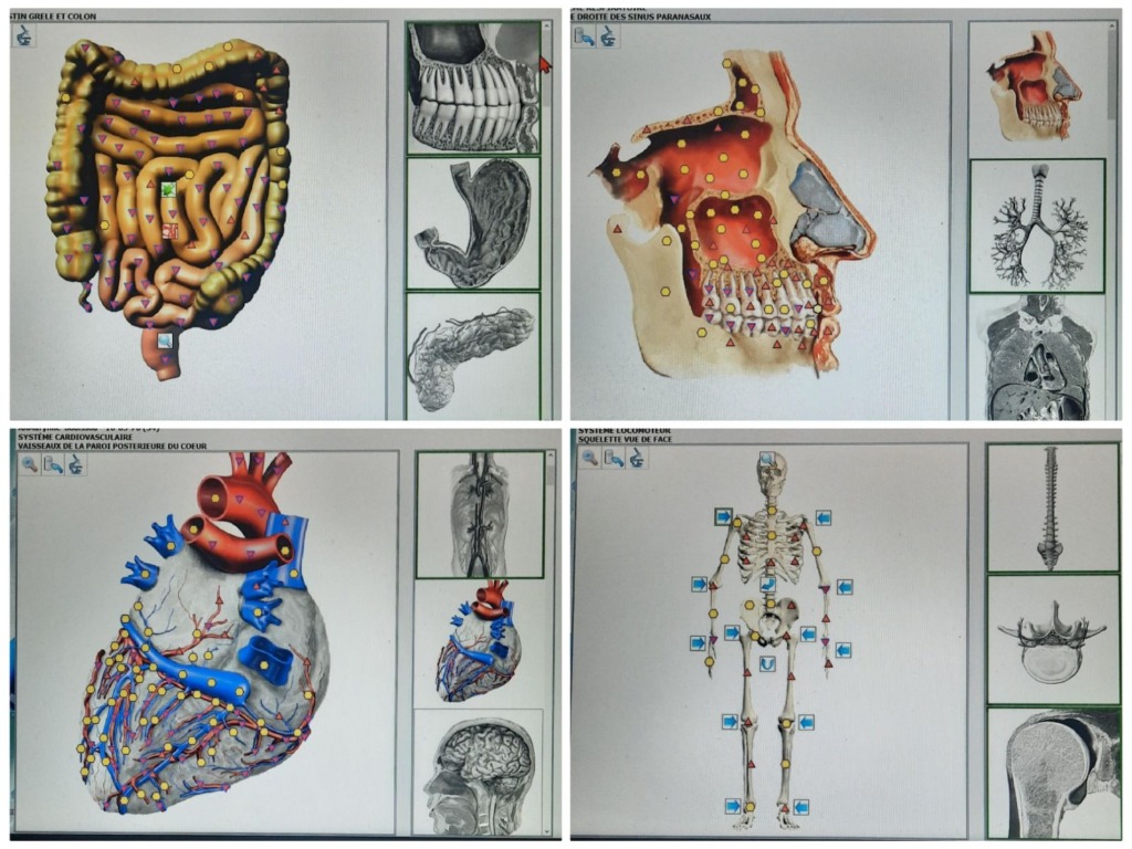 photo activite Maryline BOUISSOU
