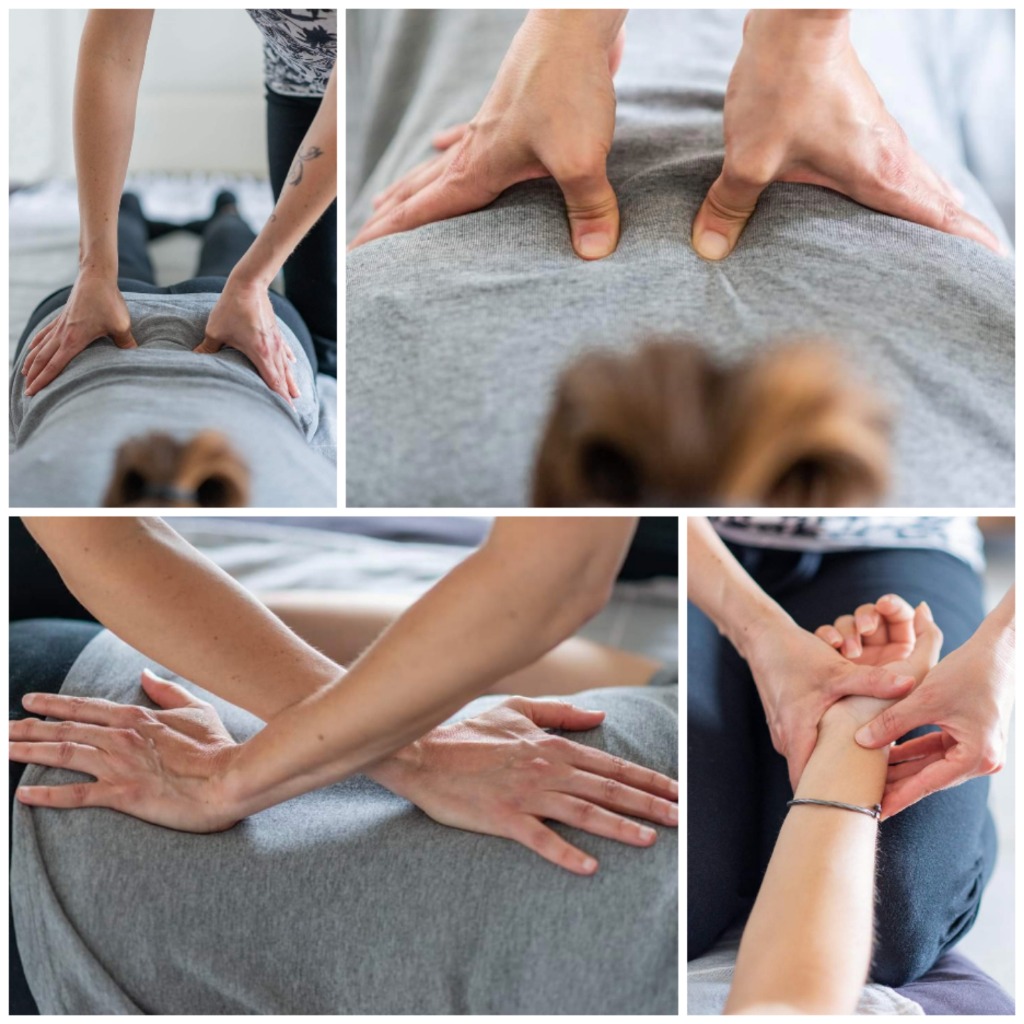 photo seance Sigrid Shiatsu 