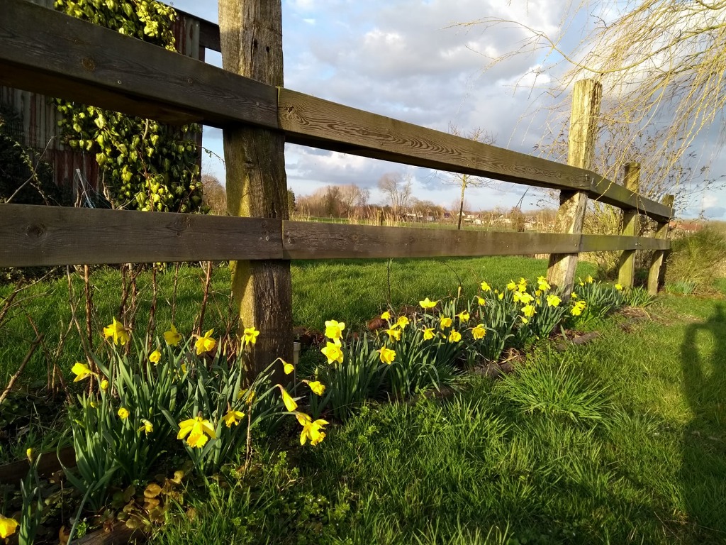 photo cabinet DOROTHEE SEMET