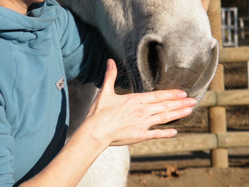 photo seance Maïtena Hutchings