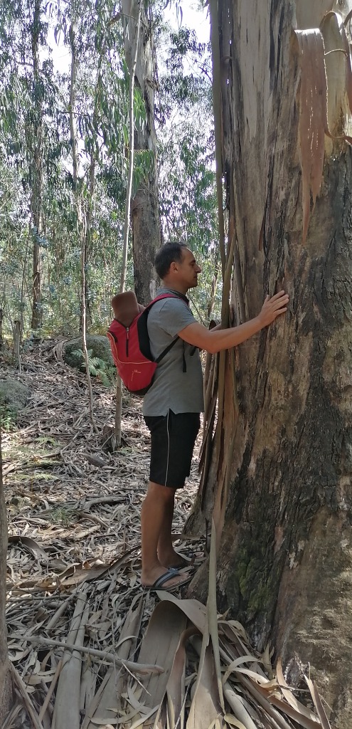 photo activite DE JESUS MARTINS EMMANUEL