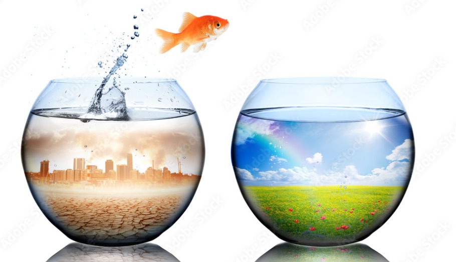 photo activite Véronique GINOUX