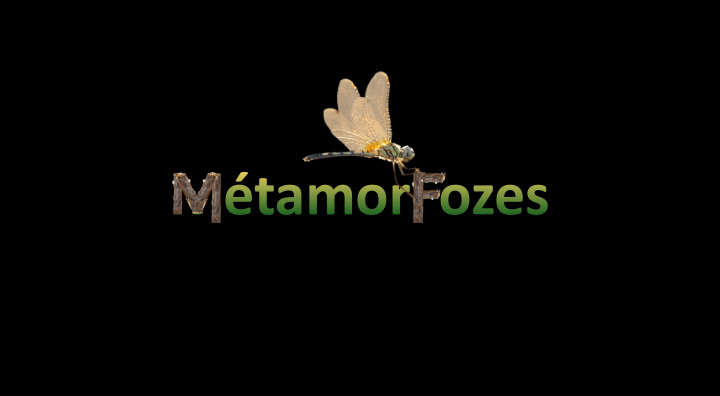 photo activite MétamorFozes  -Carine Diabaté-