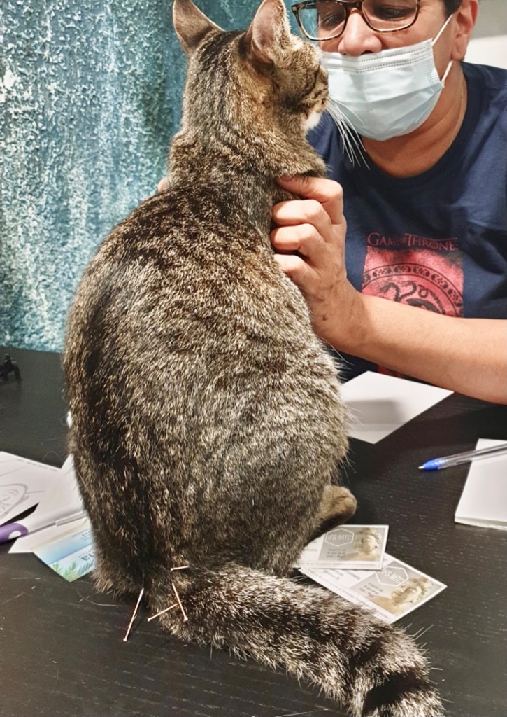 photo seance Alternative Méthode - Laure Renel