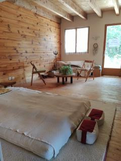 photo cabinet Christel DIEUZAIDE