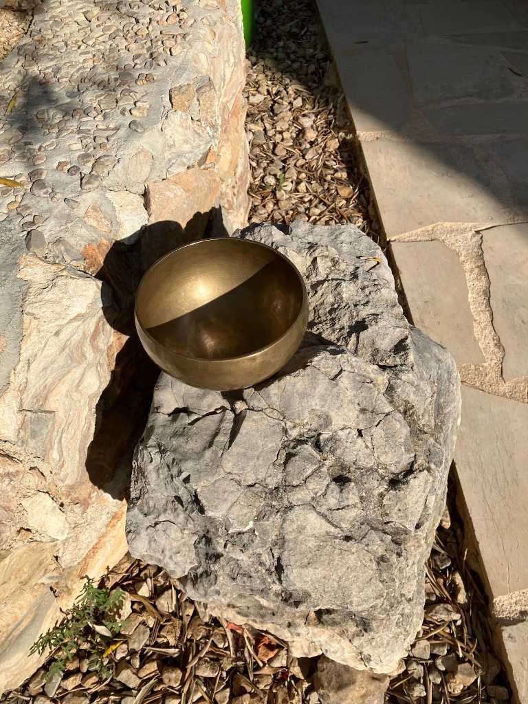 photo activite Les découvertes de JeanChris