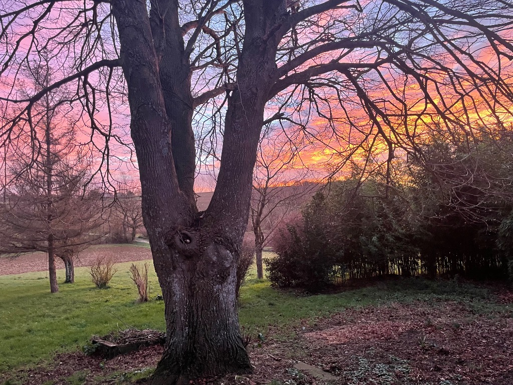 photo cabinet Mama Sand