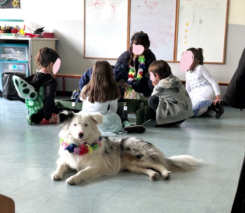 photo diplome Joy is around Thérapie