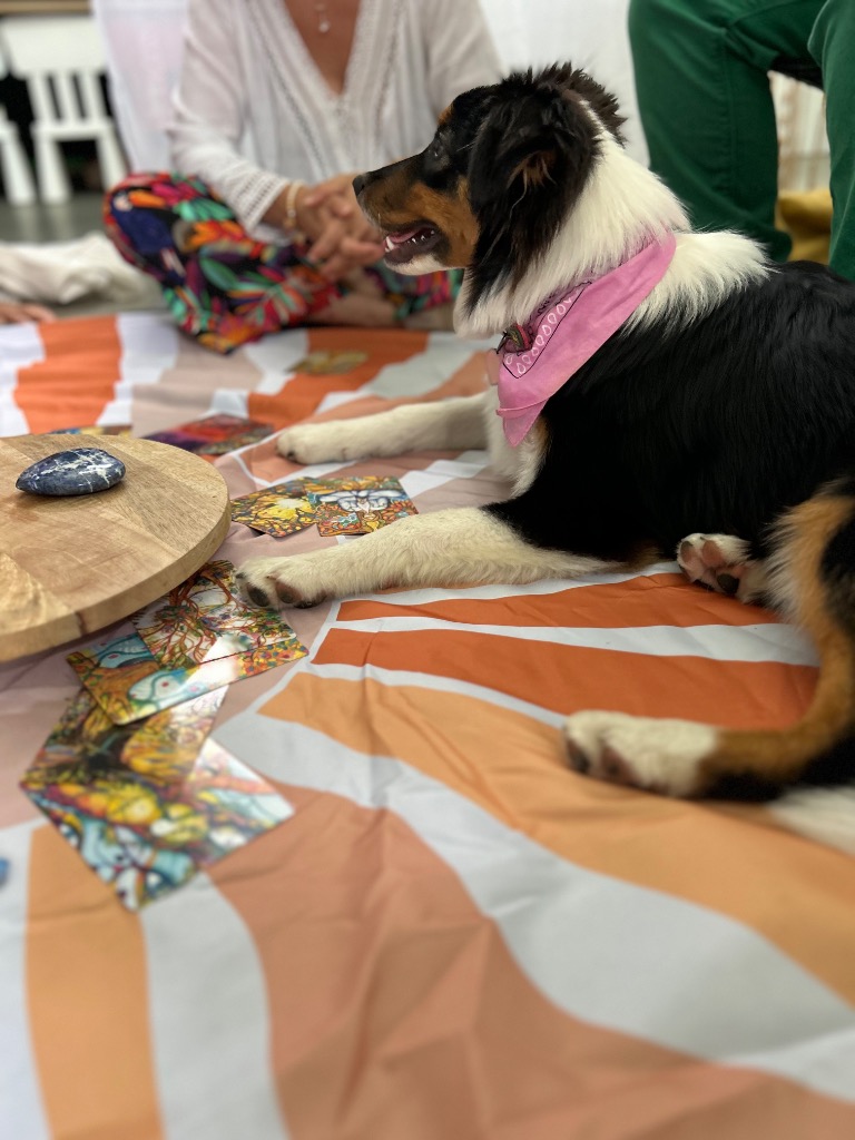 photo portrait Joy is around Thérapie