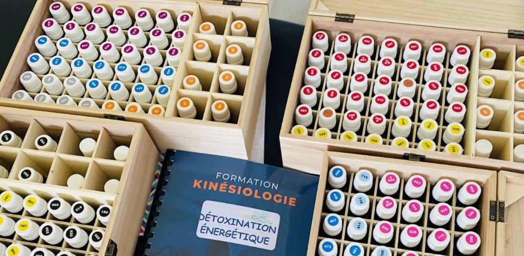 photo activite Ginkgo Kinésiologie 94 Le Perreux