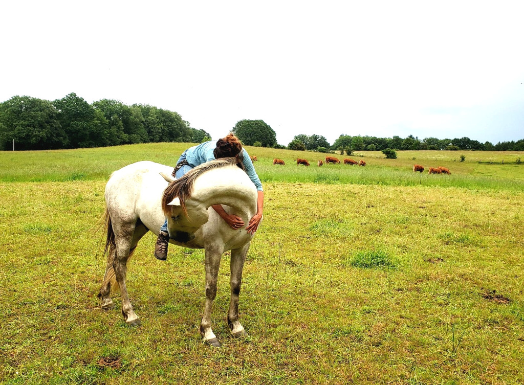 photo activite Six Pieds sur Terre, Psychothérapie, Equithérapie