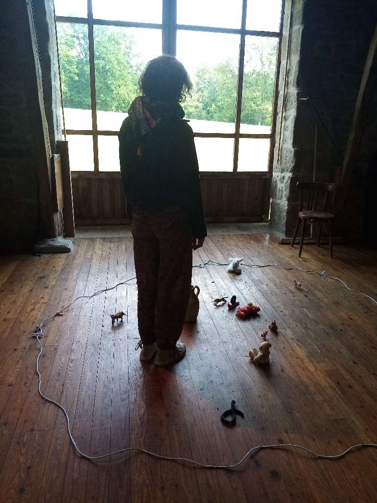 photo seance Six Pieds sur Terre, Psychothérapie, Equithérapie