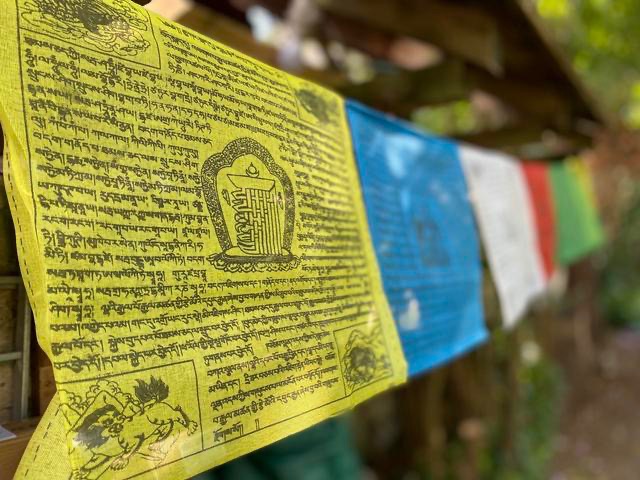 photo diplome Cybèle Desarnauts