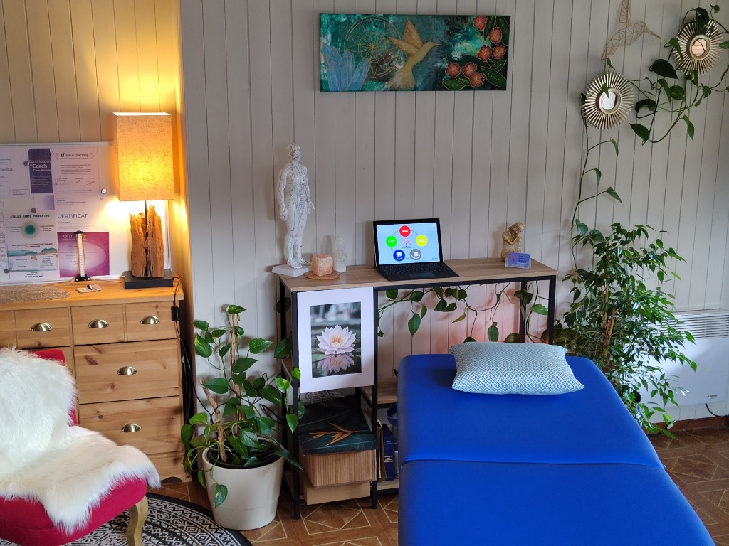 photo cabinet Sophie Jemin