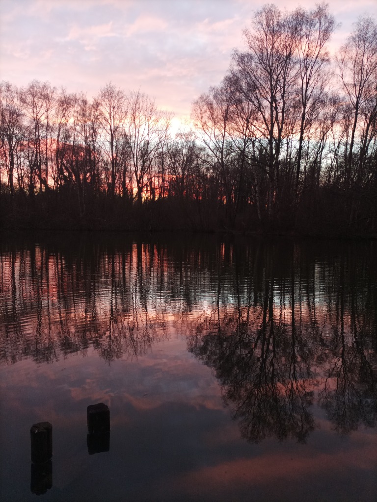 photo cabinet Lucie Zaremba (Devoyon)