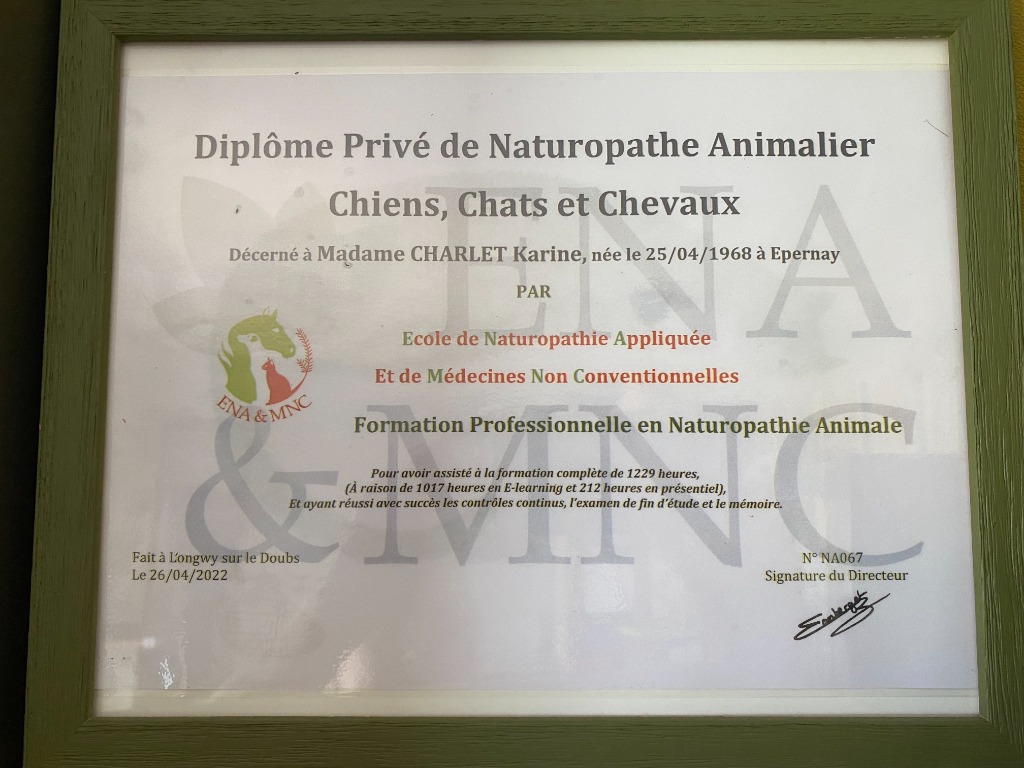 photo diplome Karine CHARLET