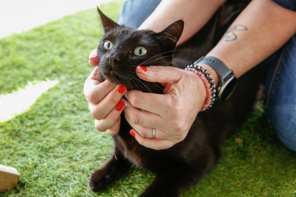 photo seance Karine CHARLET