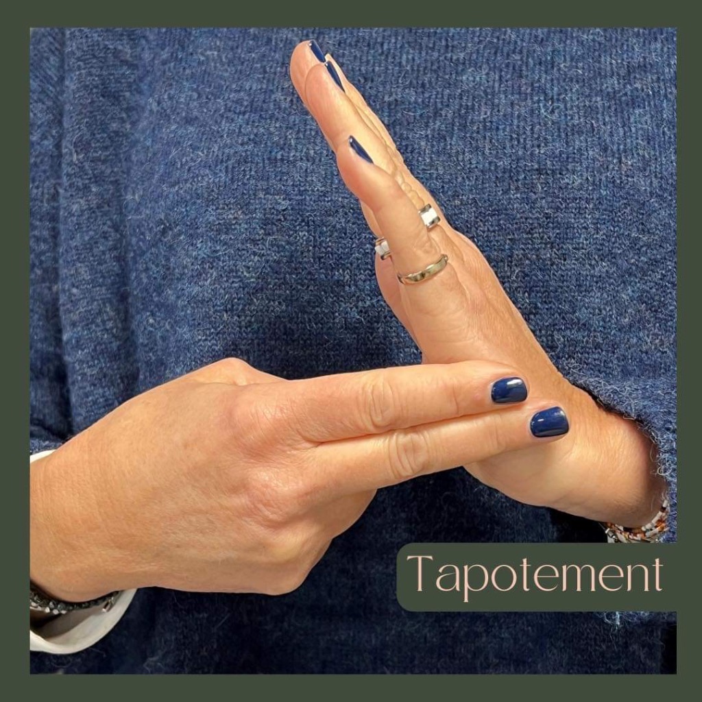 photo activite Vanessa DAVID