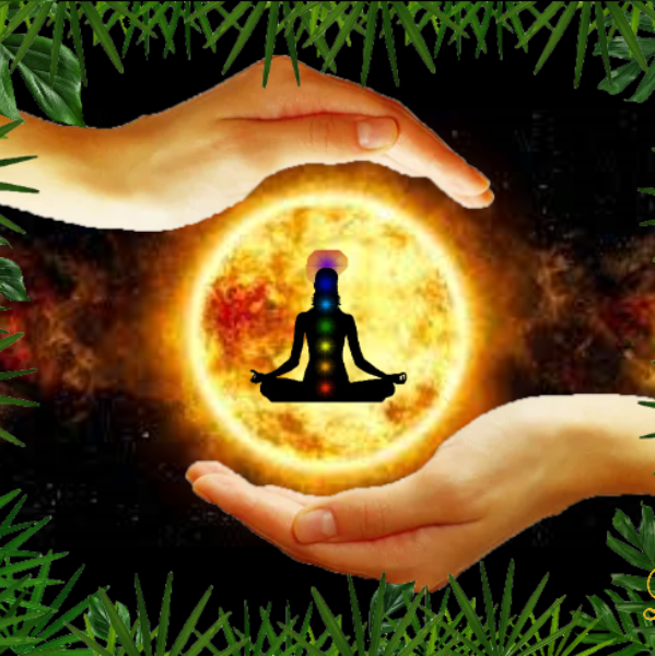 Laetitia Drouin-Donnet