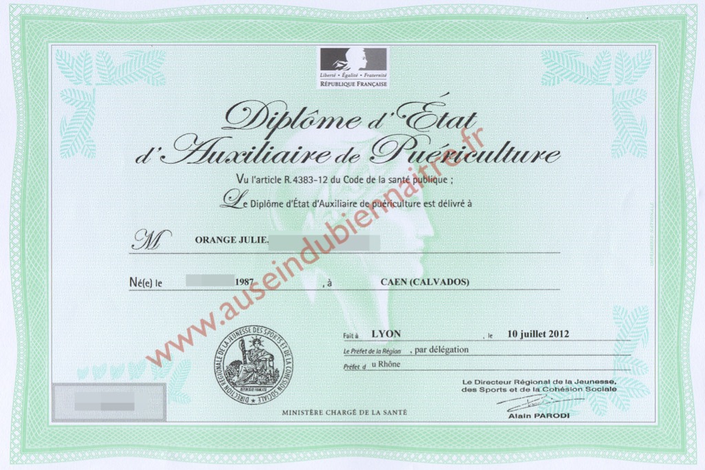 photo diplome Au sein du Bien Naître - Julie Orange EI