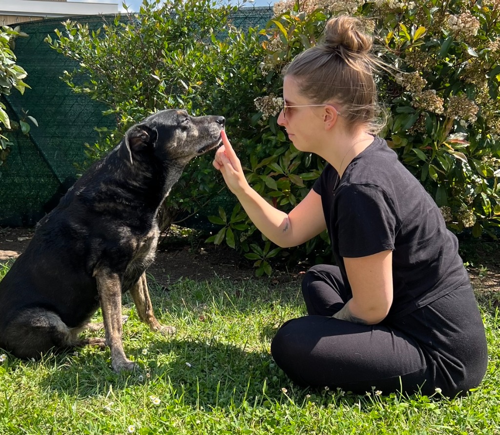 photo seance Emma Communication Animale