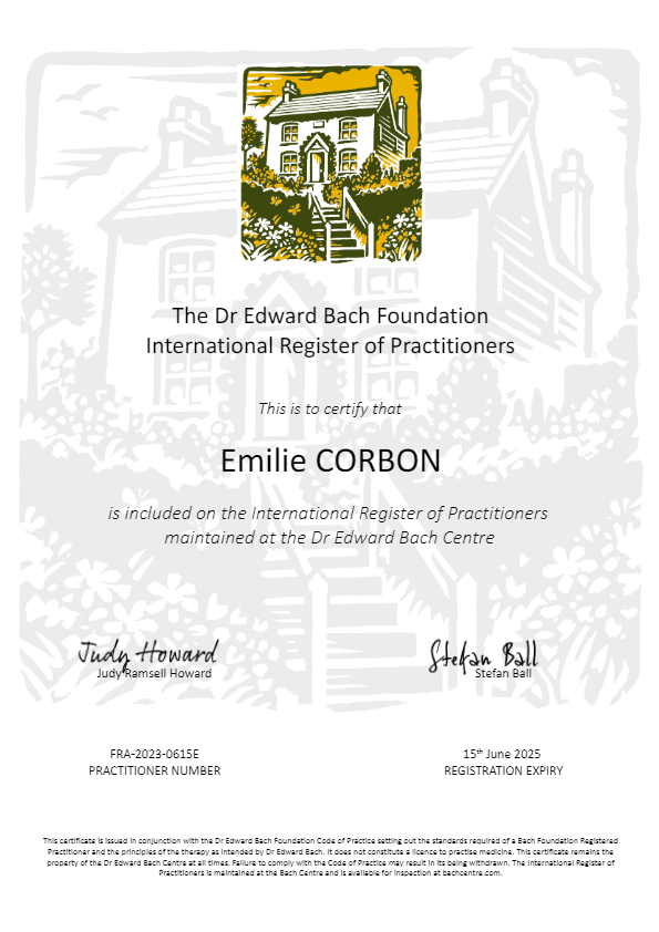 photo diplome CORBON Emilie