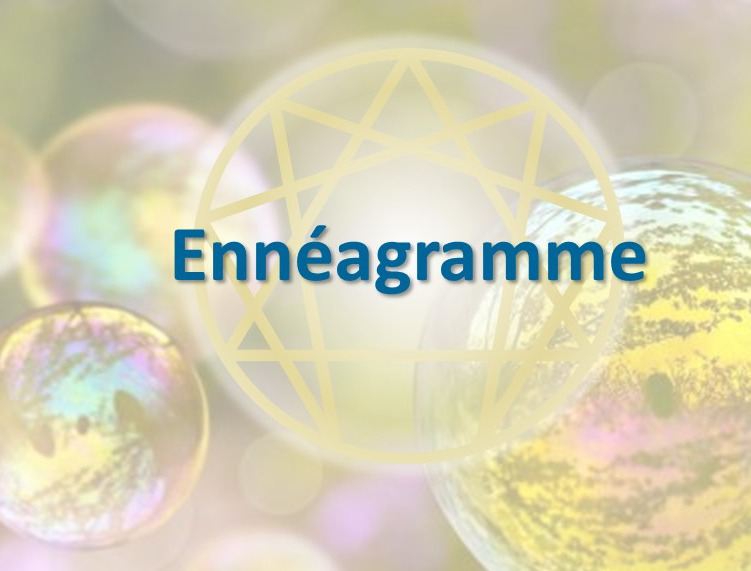 photo cabinet Sébastien MARIE