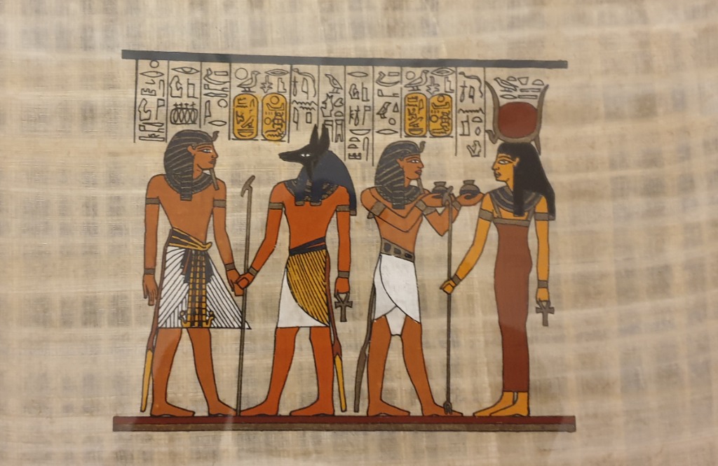 photo diplome Alpha Grace