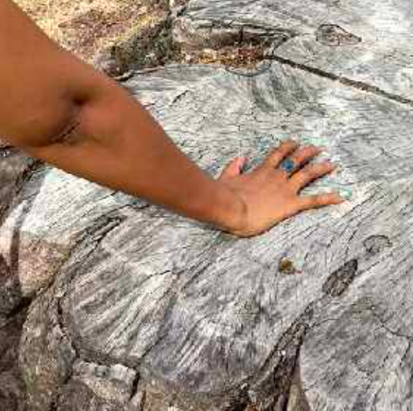 Fabienne Magnétiseuse