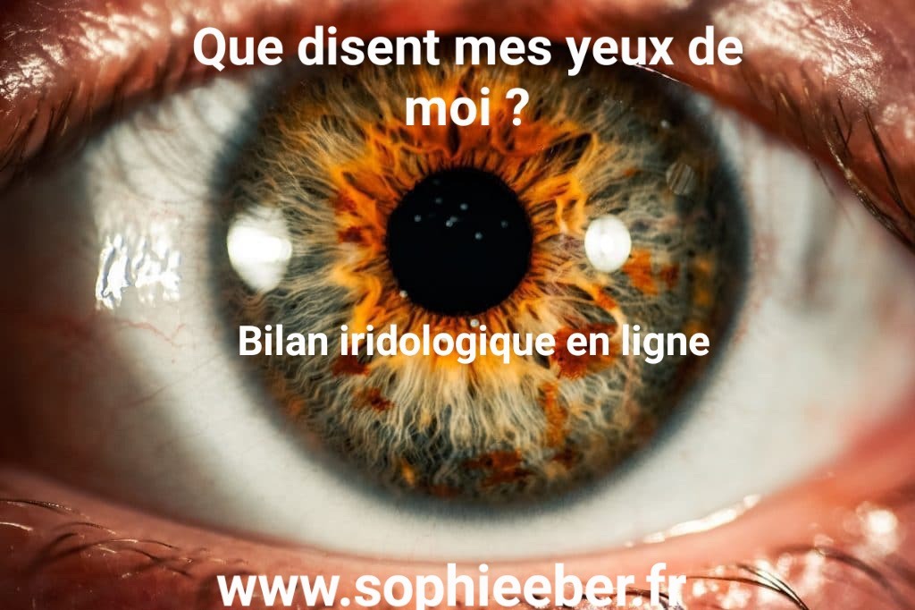 photo cabinet Sophie Eber