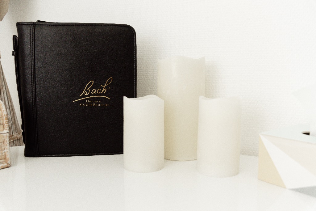 photo activite Stéphanie Duval 