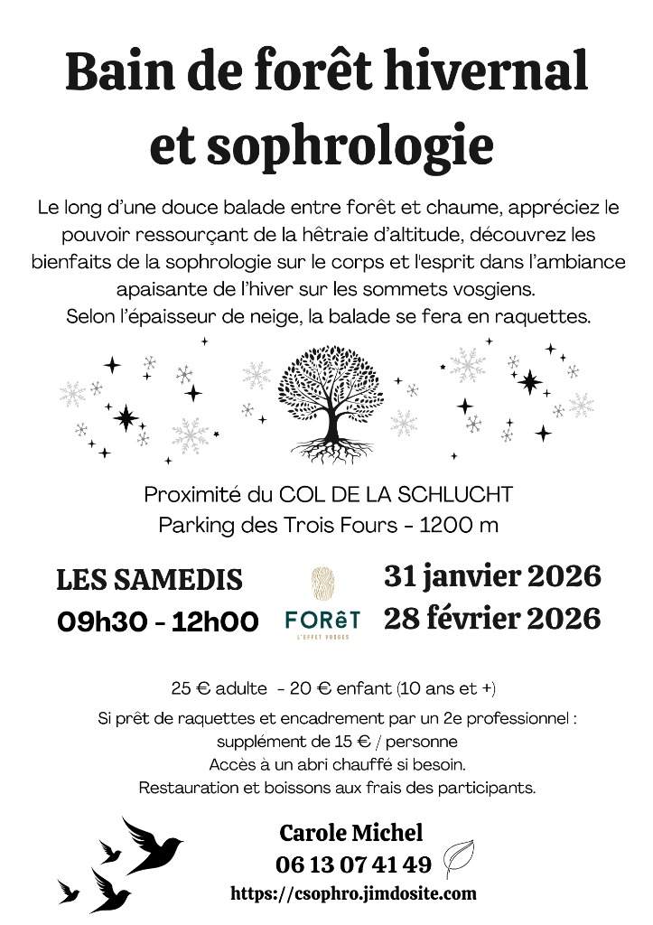 photo activite Carole Michel