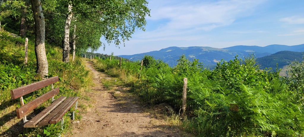 photo cabinet Carole Michel