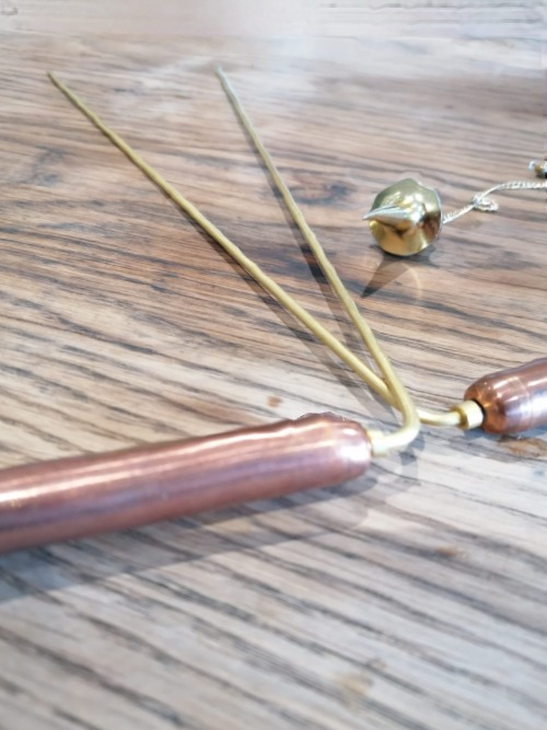 photo activite Suzanne Kristel