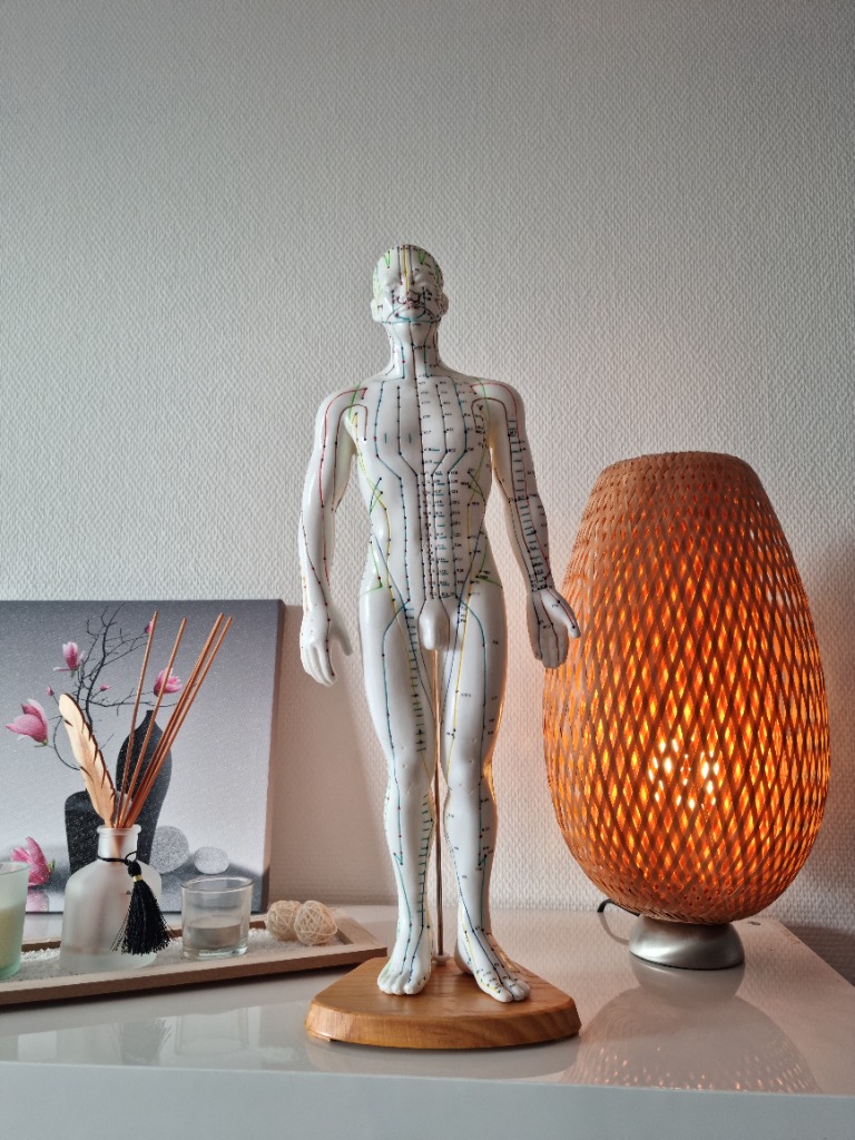 photo activite SANDRINE CARRE