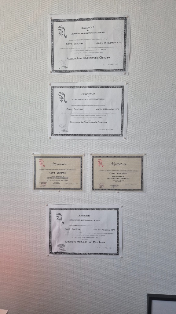 photo diplome SANDRINE CARRE